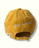 Today is Gonna be a Good Day Cap