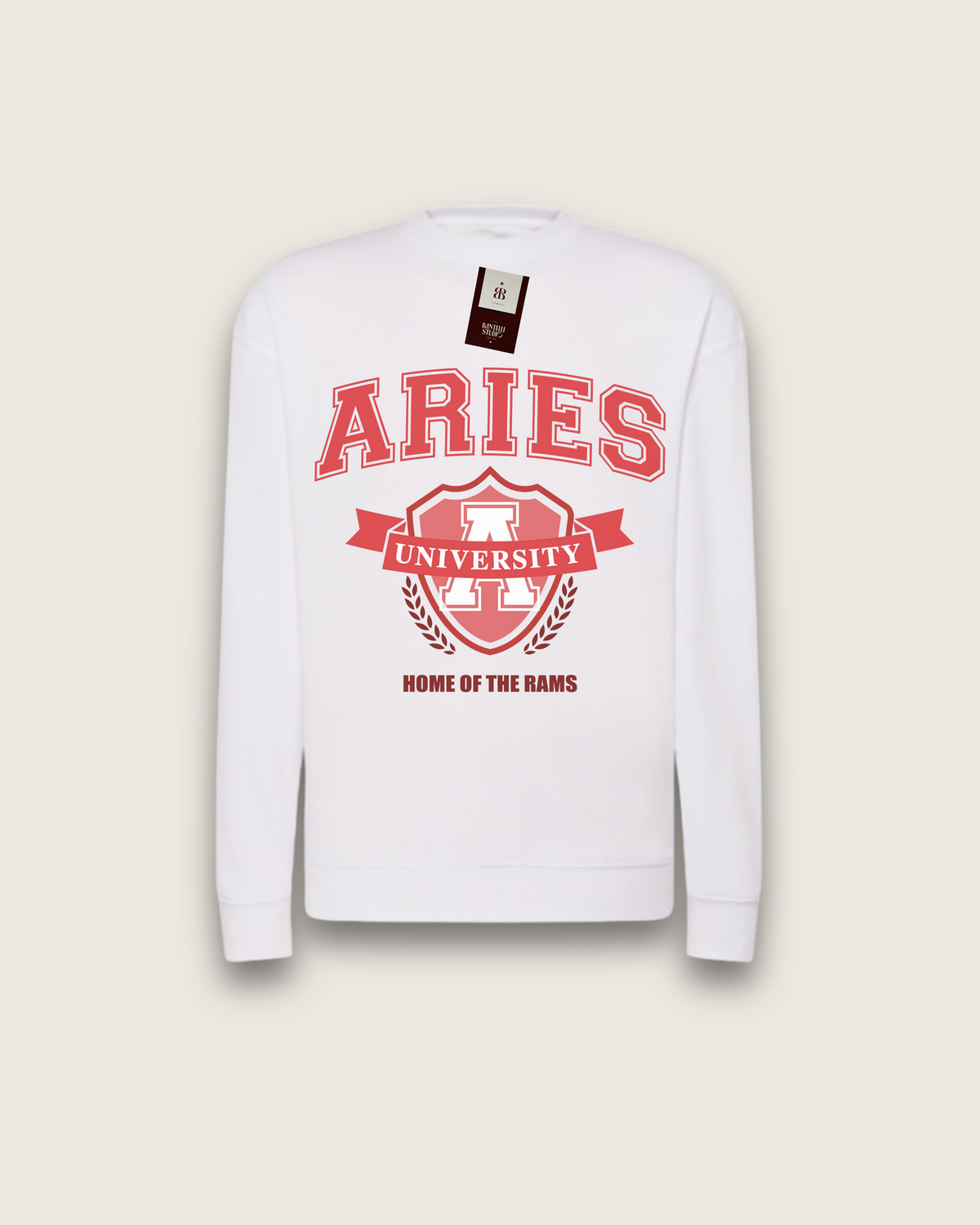 Aries University Pullover