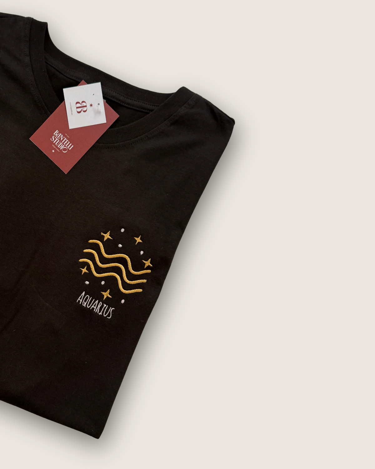 Aquarius T-Shirt